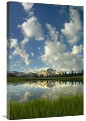 24 x 36 in. Mammoth Peak Reflected in Seasonal Pool, Yosemite NP, California Art Print - Tim Fitzharris