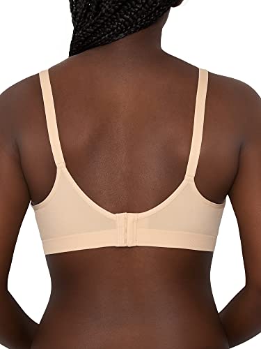 Fruit Of The Loom FT640 Women'S Seamless Wire Free Push-Up Bra thumb #5