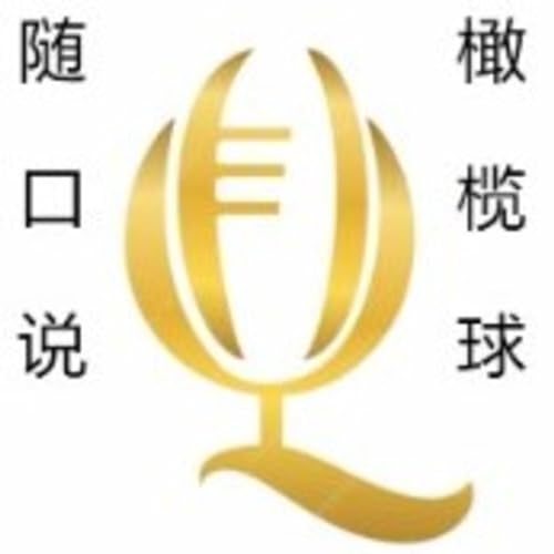 随口说橄榄球 copertina