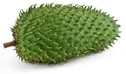 Fresh Guanabana (Soursop) Fruit (1-2lb) Set of 3