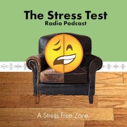 Page de couverture de The Stress Test