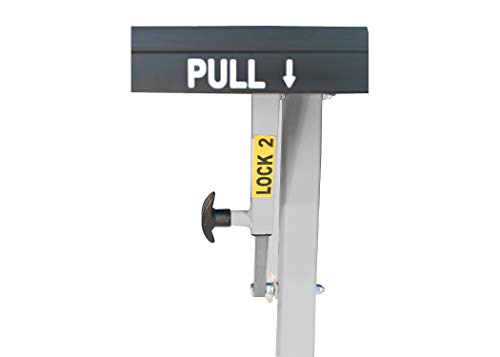 Butterfly Easifold 19 Ping Pong Table - Ping Pong Table Regulation Size With Easy Net Set - 10 Minute Quick Assembly - Folding With Wheels For Easy Storage #TOP6