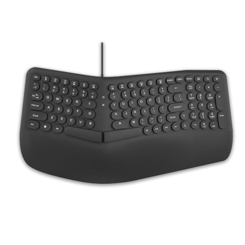 Image of ANT Master 70 Wired USB Keyboard, Full-Size 101-Key Computer Keyboard with FN + 12 Multimedia Shortcut Keys, Smooth Rubber Dome Keys, Anti-Splash Design, 5 Million Keystrokes, Windows & Linux Black