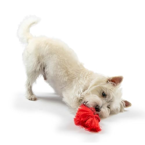 Playology Dog Toys | Dri-Tech Rope Tug of War Dog Toy for Tough Chewers | Beef Scented Medium Tug Rope Toys for Dogs - Image 5