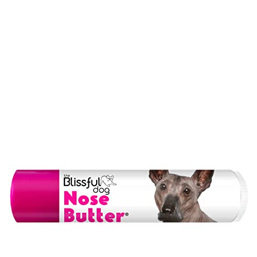 The Blissful Dog Xoloitzcuintli Nose Butter - Dog Nose Butter, 0.15 Ounce
