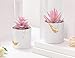 Der Rose Set of 2 Succulents Plants Artificial Mini Fake Succulents Plants for Office Desk Accessories for Women Pink Home Vanity Decor