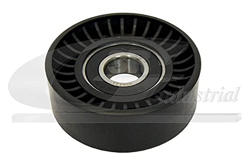 3RG INDUSTRIAL - Rodillo Tensor- OEM 575155 1613839980 - Piezas para Coche Recambios Motor y Otras Partes de Vehículo | Compatible con los Modelos de Coche y Moto indicados más Abajo.