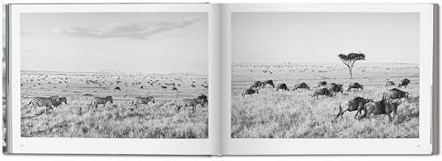 Sebastião Salgado: Africa