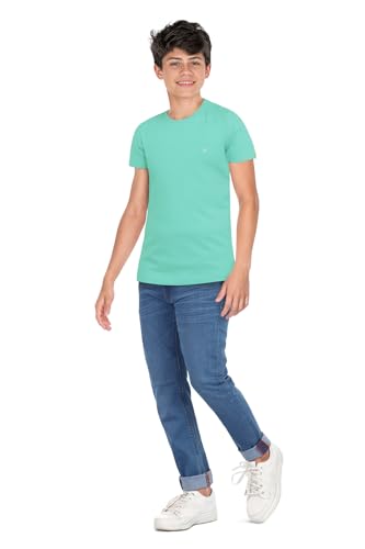 Image of Allen Solly Boys' Crew Neck T-Shirt | Stag Logo | Cotton | Regular Fit | Everyday Kids Casual Wear