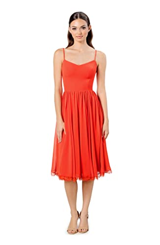 Amazon.com: Dress the Population Womens Mercy Fit and Flare Midi Special  Occasion, Poppy, Small US : Clothing, Shoes & Jewelry