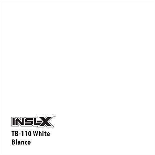 Insl-X Block Out Acrylic Exterior Wood Stain Blocking Primer, White, 1 Gallon #TOP1