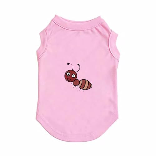 [XZVGJ] ybg t  sN Eѕی [EFA XL  ₷ ĕ  U o| L LbgEFA ^ ^ ʋC lGʗp ȒPE [΍ UoEFA  Ȑ