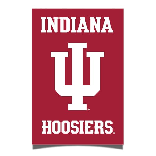 Desert Cactus Indiana University Poster IU Hoosiers 11 x 17 Inch Room Office Décor Decoration Official Fan Gear (11x17 inch, Poster E)