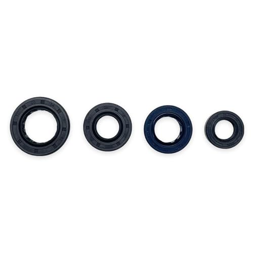 Joint d'huile de moteur pour moto Loncin : kit de rechange pour arbre et démarreur