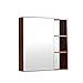 Szafka Łazienkowa Szafki Na Leki Naścienne Z Drzwiami Z Podwójnym Lustrem I Regulowaną Półką Brązowa, Ścienna Szafka Łazienkowa Z Lustrem