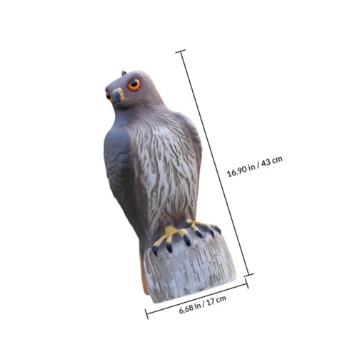 Aigle à queue rousse en décoration portable résistante Beavorty de 43cm - 3