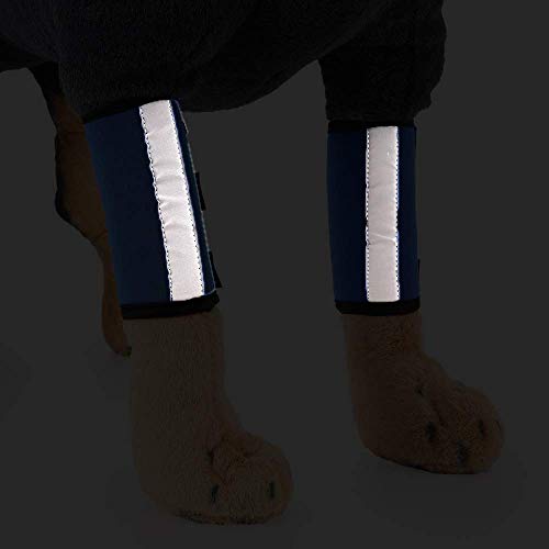 Image of 1 Pair Reflective Tape Elbow Protectors, Dog Front Leg Braces Pet Knee Pads Dog Elbow Protector Help with Injuries Sprains and Loss of Stability Caused by Arthritis(M, Blue)