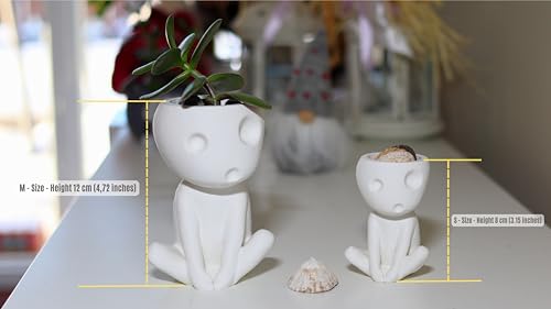 Kodama Planter - Studio Ghibli Inspired Indoor Pot - Decor - Mini Planters for Succulents - Baumgeister - Kooki & Keera (MEGA- 25cm (9.84 in))
