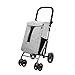Carlett Carro de la Compra de 4 Ruedas, Carrito para Supermercado Plegable con Gran Capacidad de 25kg, Principal 53L, Bolsa Térmica 9L y Bolsillo Posterior, Lett430 Classic Duo, Gris
