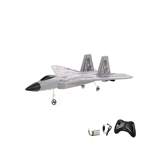 HIMOTO HSP 2.4GHz RC ferngesteuertes F-22 Kampf-Jet, RC Flugzeug Flieger, Kampfflugzeug, Ready-to-Fly - Komplett-Set