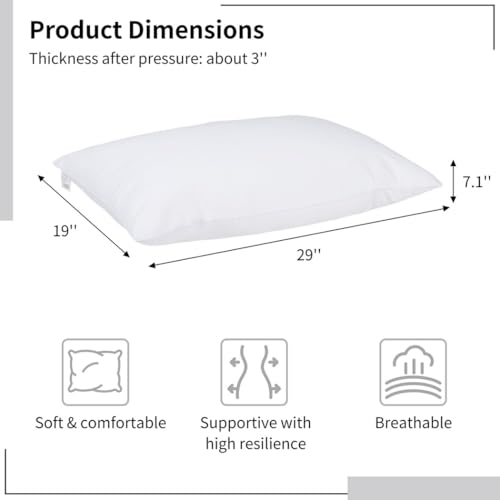 Almohada Fibra Poliéster 73.7x48.3x18 cm Blanco miniatura 6