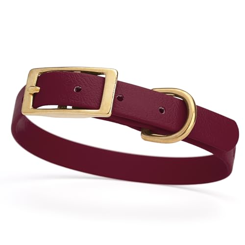 Image of Viper Biothane Heavy Duty Waterproof Dog Collar Strong Coated Nylon Webbing w /Solid Brass Hardware Odor-Proof Easy to Clean High Performance Fits Small Medium or Large Dogs, Merlot Burgundy