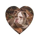 ❤Diseño de tamaño: 5,5 x 5,5 cm/2,1 x 2,1 pulgadas, un grosor de 0,13 cm/0,05 pulgadas. Papel en la parte delantera, imán suave en la parte trasera. Nuestros imanes para nevera son de corazón, se pueden aplicar a superficies metálicas o magnéticas.