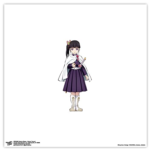 Poster Demon Slayer Kanao Tsuyuri déco murale manga chambre geek 30,5 cm