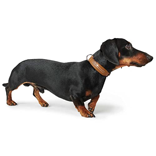 HUNTER DIAMOND ELK PETIT Hundehalsband für kleine Hunde, Leder, Elchleder, weich, Strasssteine, 27 (XXS-XS), schwarz