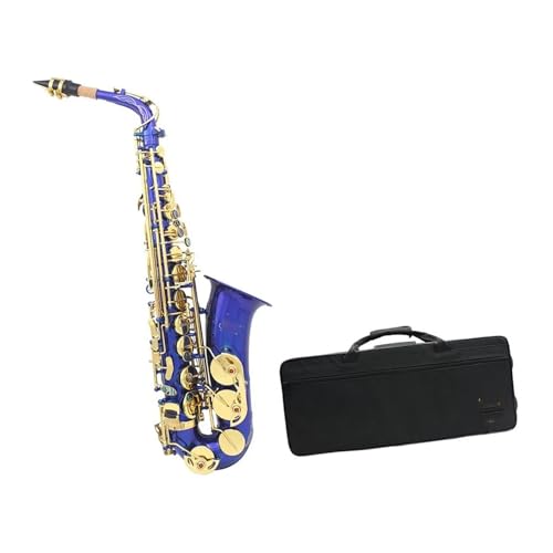 ���S�җp�T�b�N�X �A���g�T�b�N�X ���Ǌy��Z�b�g �v���t�F�b�V���i���؊Ǌy�� �P�[�X�A�N�Z�T���[�t��