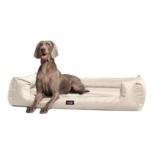 tierlando® Orthopädisches Hundebett Goofy für große Hunde XL bis XXXL mit waschbarerem Polyester-Bezug, ideal bei Gelenkproblemen Größe: 130x100cm | Farbe: 05 Creme