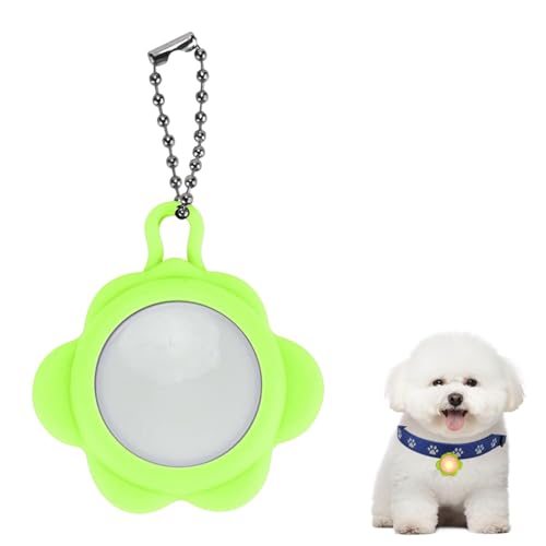 LifetipsrVEt[[iBichon FrisejDoberman Pinscher Lp LEDUCg `[ h y USB[d 3_[h  ցEn[lXE[h ԈSLEDUCg y_g