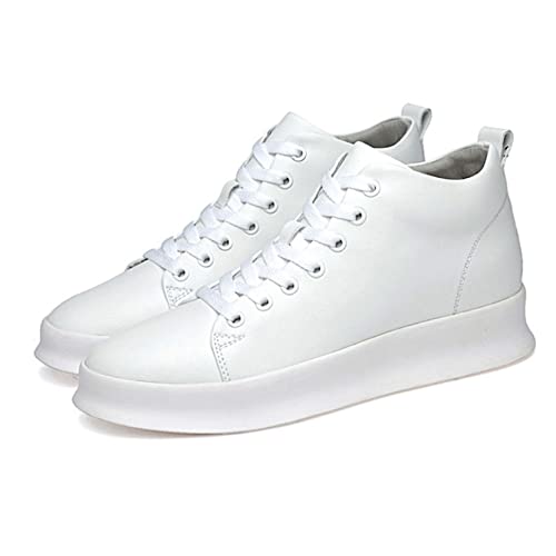 Xj[J[ Y {v 23.5cm TCY zCg JWA V[Y V[NbgV[Y j̎qC H~ ʋC Cq[V[Y  ubN fbLV[Y EhgD X|[c