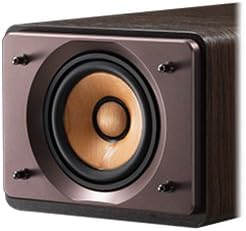 Close-up view of the JVC wood cone speaker