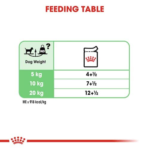 Royal Canin Digestive Care | Doppelpack | 2 x 12 x 85 g | Nassfutter für ausgewachsene Hunde | Ab dem 10. Lebensmonat | Für Hunde mit empfindlicher Verdauung geeignet