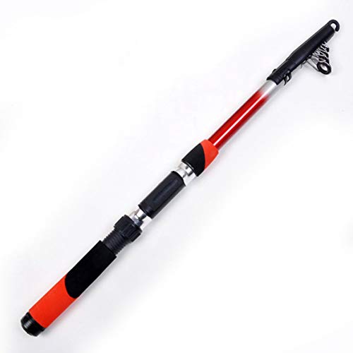 Best Telescopic Fishings