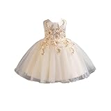 [SR3QW] キッズ ドレス ラウンドネック 女の子 セレモニードレス ノースリーブ フォーマルドレス 子供服 洋装フォマール こども 子供ロングドレス ノースリーブ お宮参り お祭り 花見 退院着 結婚式 100cm お誕生日 花が飾り ベージュ チュールスカート
