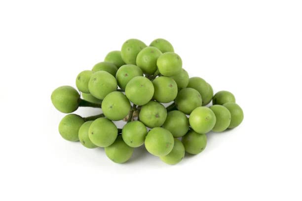 Turkey Berry/sundekkayi/Kundene Kayi/Sundakai 20Seeds (B0BSNPCPM3) Amazon Price History, Amazon Price Tracker