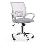 Nazhura Mesh Office Desk Chair with Adjustable Height and Swivel, Mid-Back with Armrests and Lumber Support(Mid-Height, Grey)