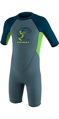 O'NEILL 2017 Toddler Reactor 2mm Schiena Cerniera Shorts Dusty Blue/Dayglo 4867 - DSTYBLU/DGLO/Ardesia, 4 Years