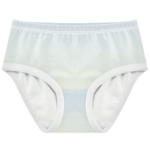 Joisal Elegant Blue Light Yellow Gradient Toddler Underwear Floral 2t Cotton Panties Little Girl Print Kids Briefs Undies