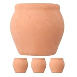 Utilisation polyvalente : idéaux pour une variété de plantes, notamment les succulentes, les petites fleurs et les herbes aromatiques, ces pots constituent un ajout polyvalent à toute collection. pots de pépinière, petits pots en terre cuite