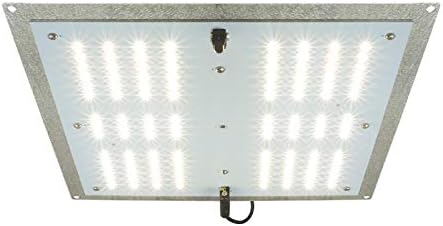 RAW 65 Full Spectrum LED Grow Light - 4000K Veg & Bloom with Samsung LM301B Chips & Meanwell Driver
