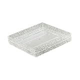 KESOTO Sushi Serviertablett, Gekühltes Tablett für Snacks, Acryl Buffetplatte, M