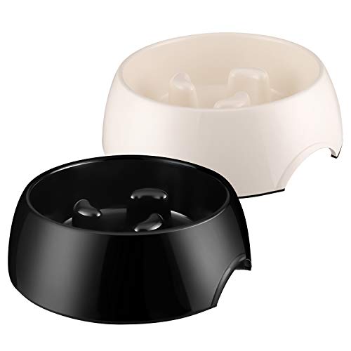 Flexzion Slow Feed Dog Bowl - Anti-Slip Slip Resistant Base Pet Animal Puppy Feeder Food Water Container Holder Dish Storage Anti-Gulping Three Columns Style 600ML, 2.5 Cup, 20oz Capacity