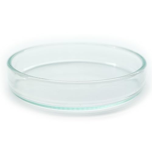 Futterschale aus Glas 60x12mm !6 Größen! für Aquarium & Terrarium  Garnelen, Schnecken, Welse... | Echtglas Futter Schale zum geziehlten füttern | KEIN Acryl/Plastik sondern Laborglas!