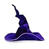 Qianderer Wicked Costumes Adult Crooked Witches Hat Fancy Dress Halloween Accessory,One Size (Purple, One Size) #1