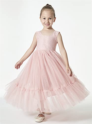 2Bunnies Girl Paisley Lace Back A-Line Straight Tutu Tulle Party Flower Girl Dress2