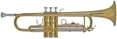 Trompeta Bach en sib TR655