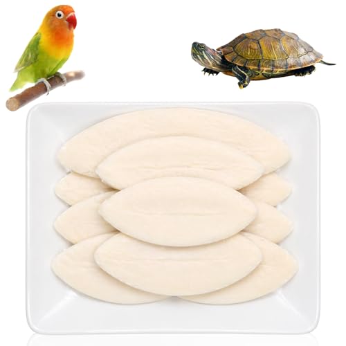15PCS Cuttlefish Bone Set Cuttlefish for Pet Chewing Cuttlefish Bone for Tortoise and Cuttlefish for Birds Mixed Sizes